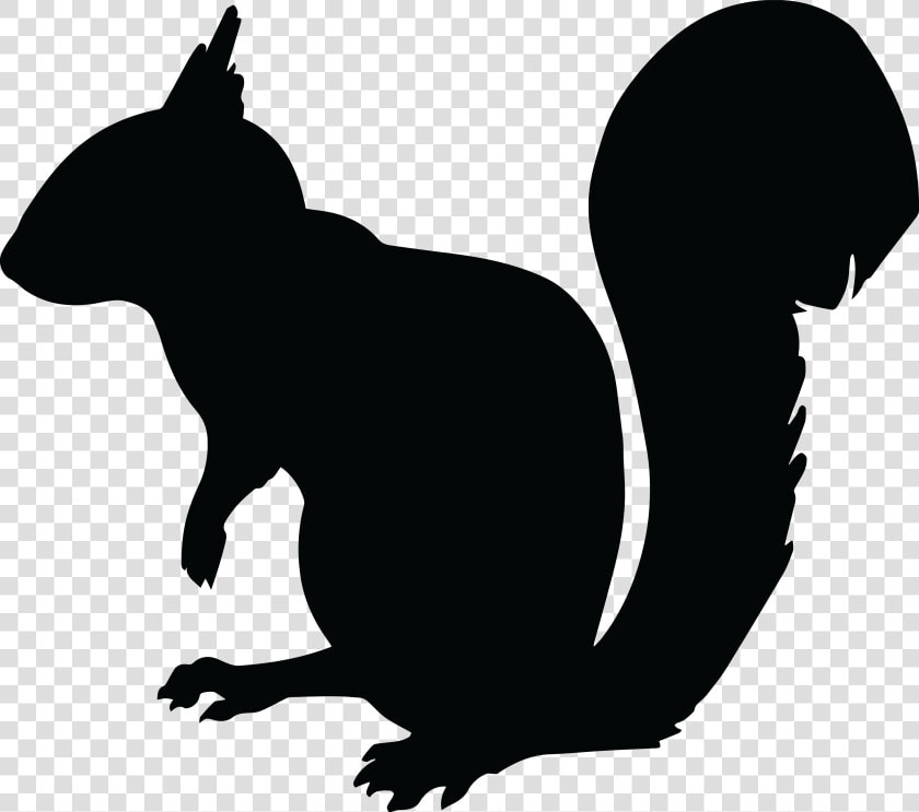 Free Clipart Of A Squirrel Silhouette   Squirrel Silhouette Png  Transparent PngTransparent PNG