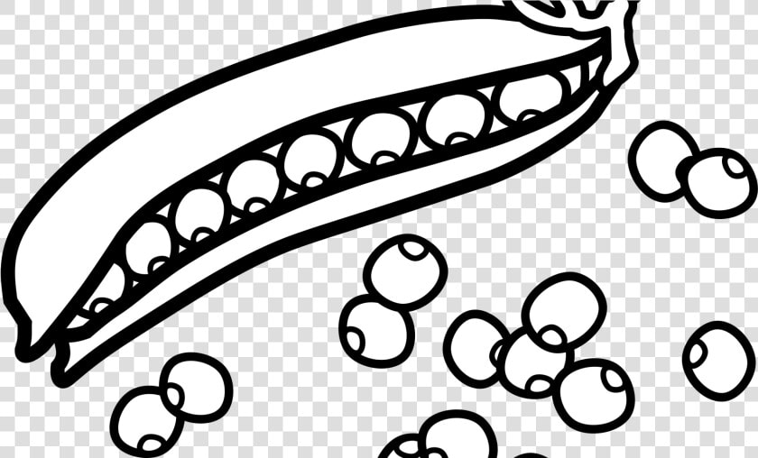 Peas Cliparts   Peas Black And White  HD Png DownloadTransparent PNG