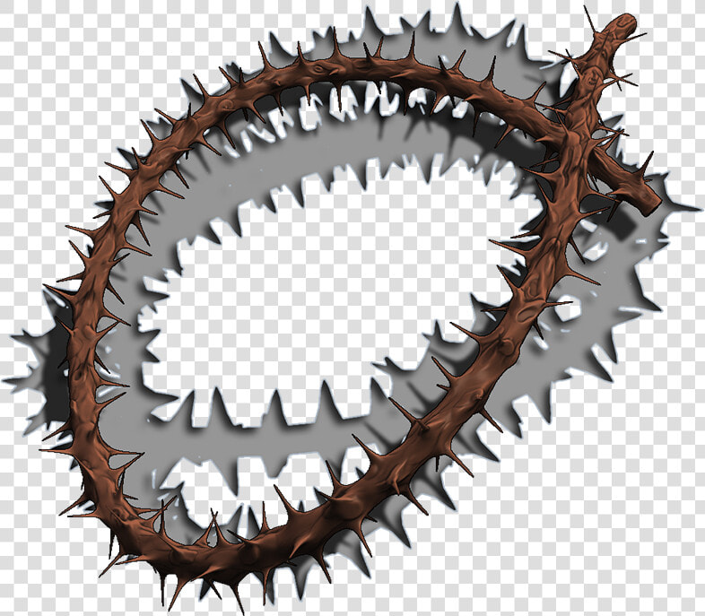 Crown Of Thorns Thorns  Spines  And Prickles Blender   Cartilaginous Fish  HD Png DownloadTransparent PNG