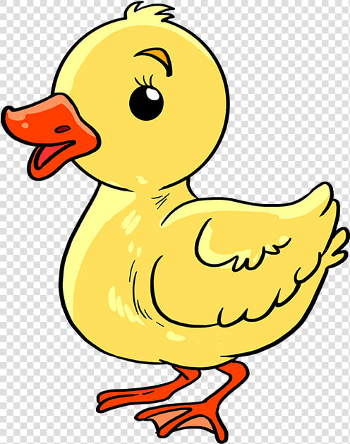 How To Draw Baby Duck   Draw A Baby Duck  HD Png DownloadTransparent PNG