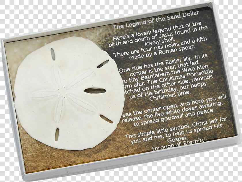 Sand Dollar With Legend boxed   Sand Dollar  HD Png DownloadTransparent PNG