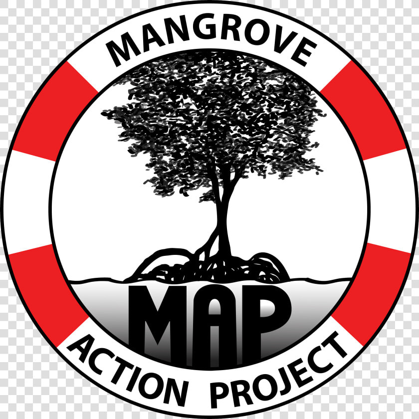 Mangrove Action Project  HD Png DownloadTransparent PNG