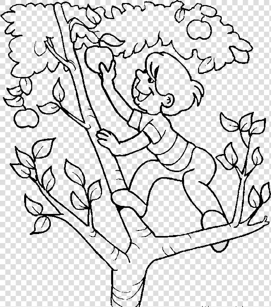 28 Collection Of Climbing A Tree Drawing   Climb Tree Clipart Black And White  HD Png DownloadTransparent PNG