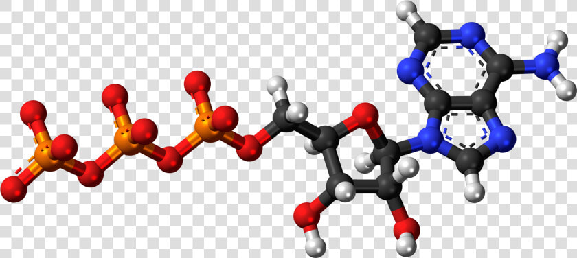 Adenosine Triphosphate Anion 3d Balls   Adenosine Triphosphate 3d Model  HD Png DownloadTransparent PNG