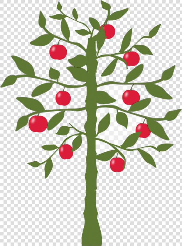 Apple Tree Park Nature Fruit Green Worlds Fastest Indian   World  39 s Fastest Indian Lemon Tree  HD Png DownloadTransparent PNG