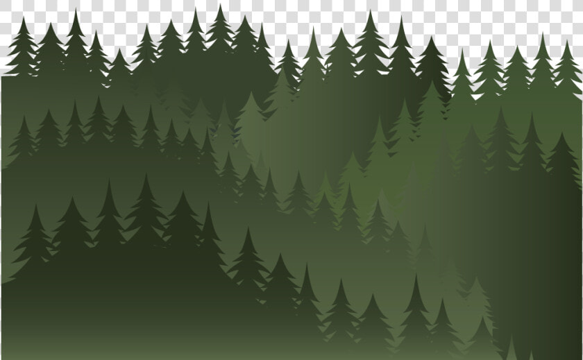 Spruce fir Forest  HD Png DownloadTransparent PNG