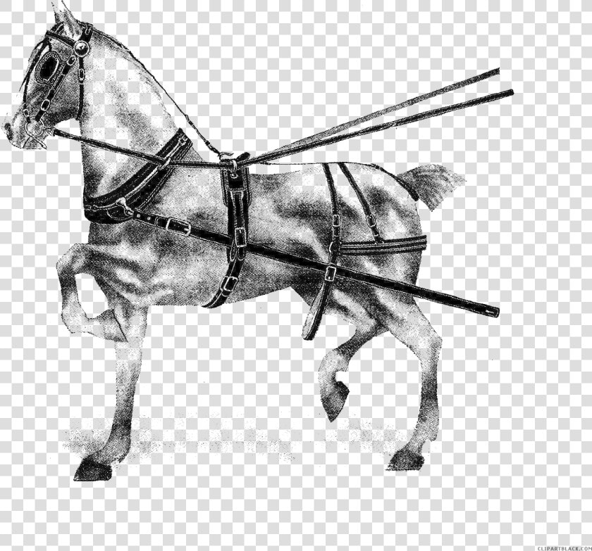 Transparent Horse Racing Clipart   Stallion  HD Png DownloadTransparent PNG