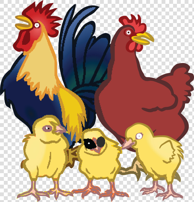 Free Clipart Of A Chicken Family   Chickens Clipart  HD Png DownloadTransparent PNG