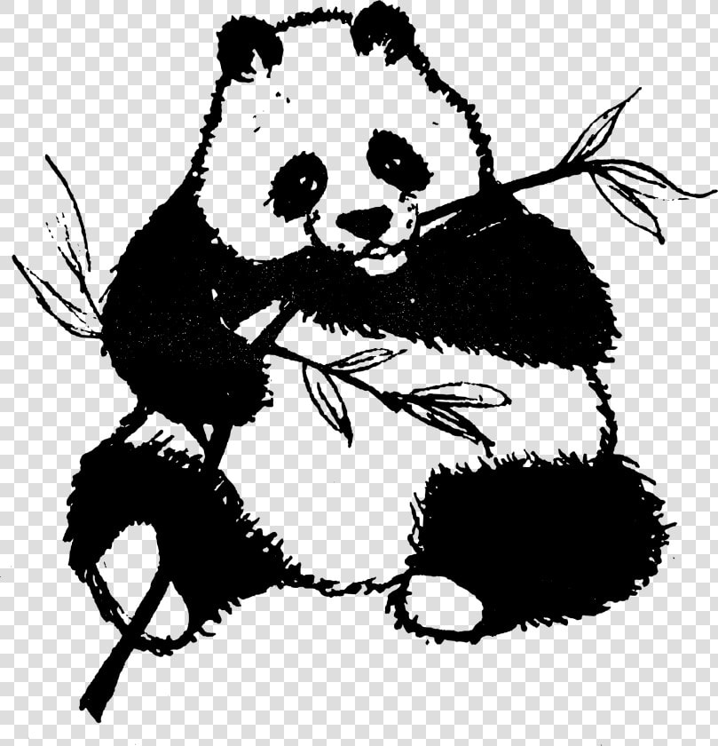 Found Panda Chewing On Leaves Clip Arts   Panda Black And White Clip Art  HD Png DownloadTransparent PNG