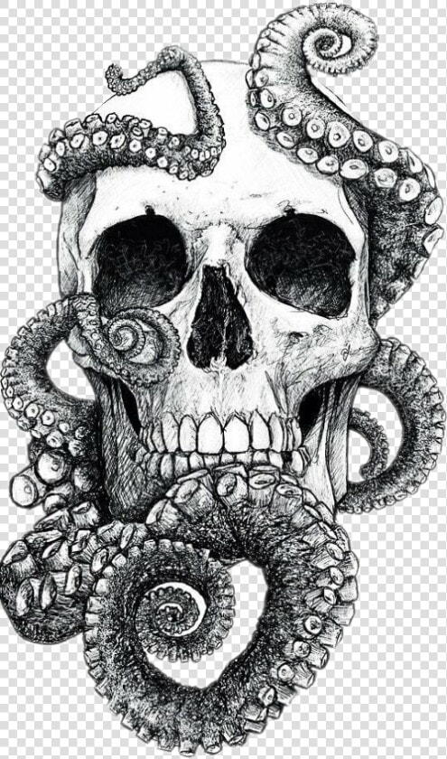 Clip Art Skull Octopus Tattoo   Skull And Octopus Tattoo  HD Png DownloadTransparent PNG