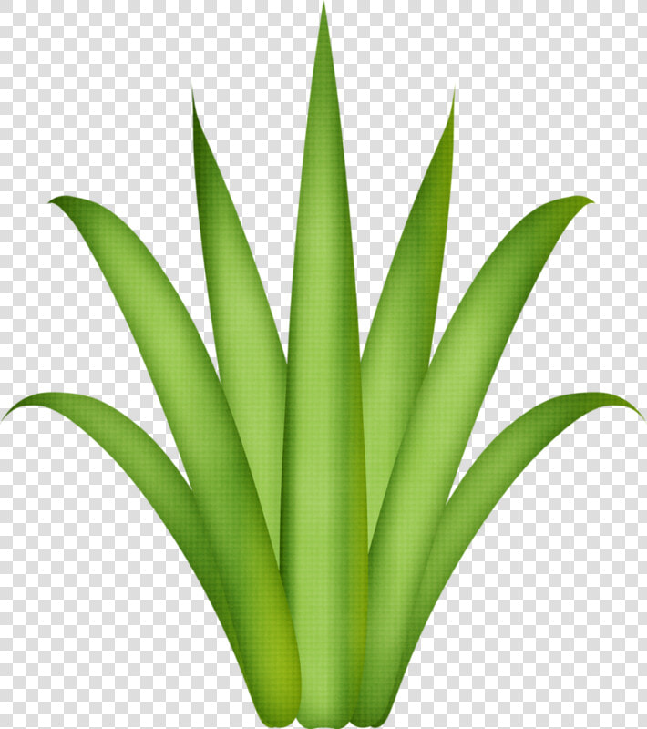 Drawing Treestree Drawingsflamingospaper Flowersgrassclip   Festa Tropical Para Imprimir  HD Png DownloadTransparent PNG