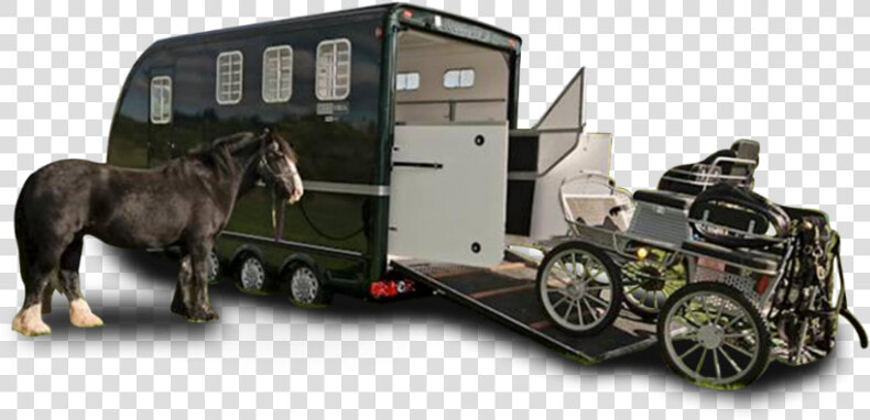 Equi Trek Carriage Trailer  HD Png DownloadTransparent PNG