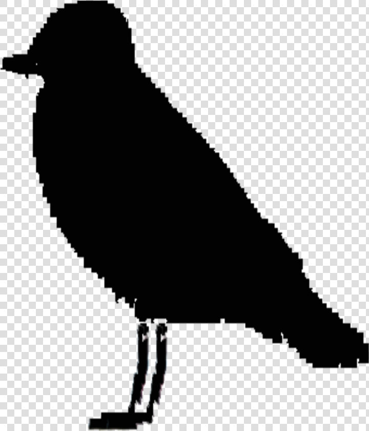 Ireland Bird Silhouette Clip Arts  HD Png DownloadTransparent PNG