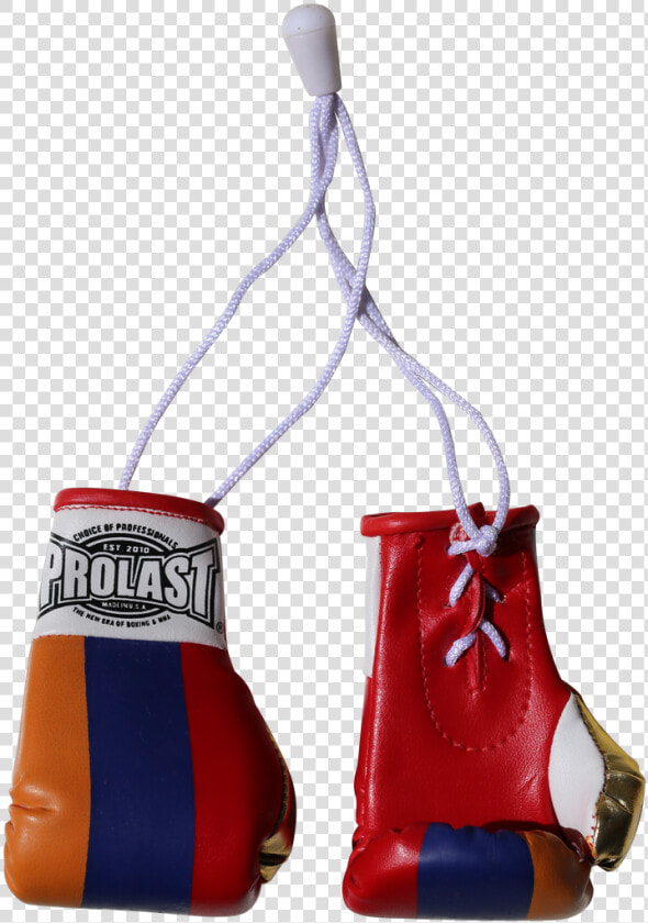 Clip Art Prolast Armenia Mini Gloves   Prolast  HD Png DownloadTransparent PNG