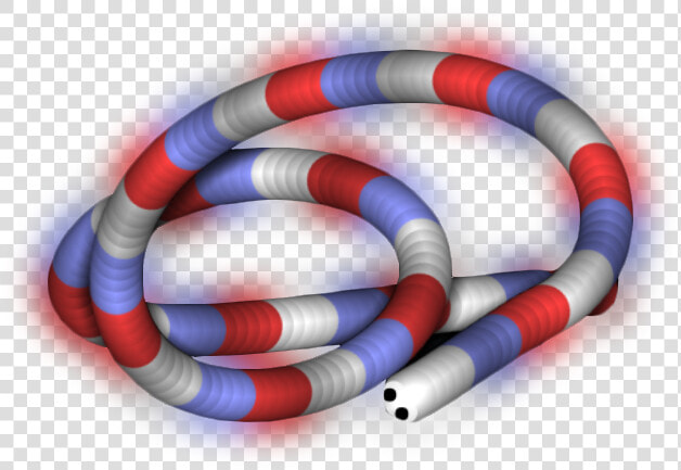 Sonoran Coral Snake  HD Png DownloadTransparent PNG