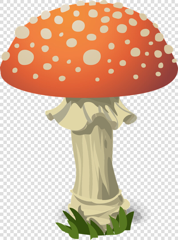 Mushroom  Fly Agaric  Red  Toxic  Nature  Fungus   Mushroom Pun  HD Png DownloadTransparent PNG