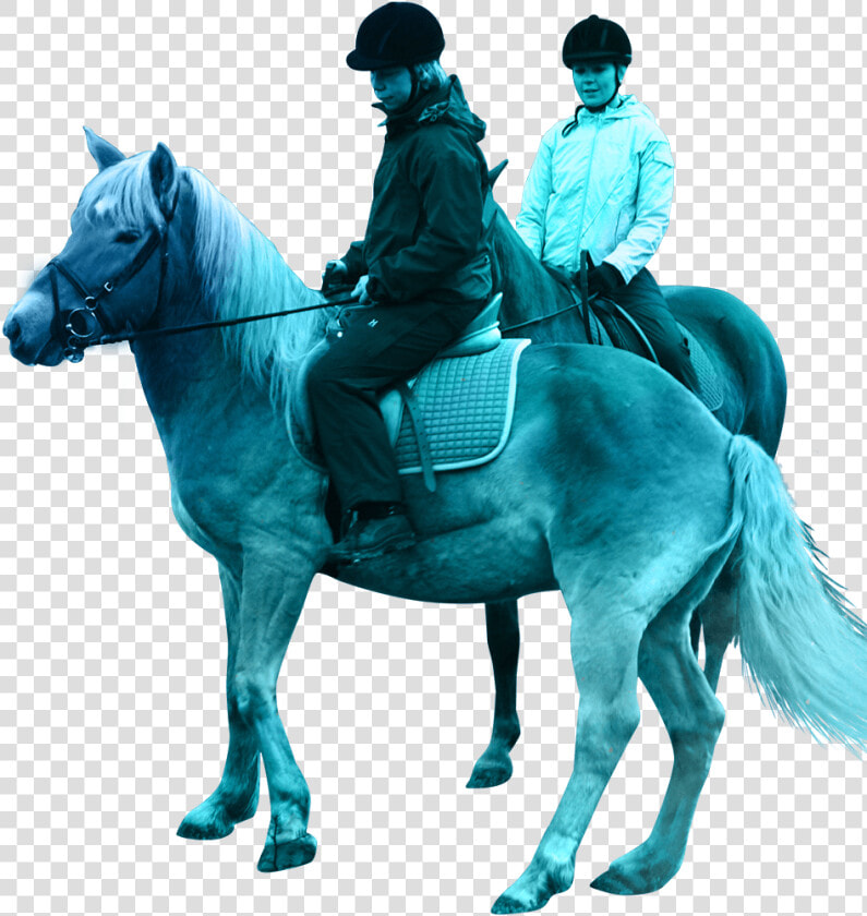 Polar Lights Tours   Stallion  HD Png DownloadTransparent PNG