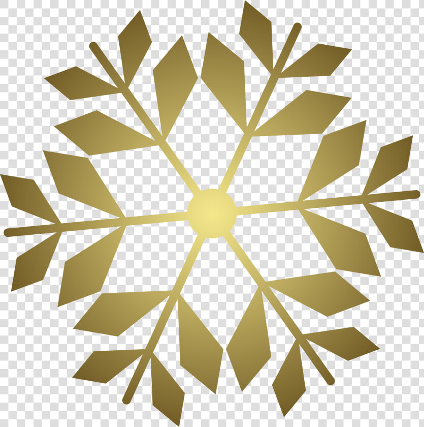 Snow Flakes Png  Transparent PngTransparent PNG