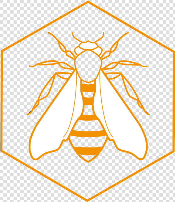 Transparent Beehive Png   Net winged Insects  Png DownloadTransparent PNG