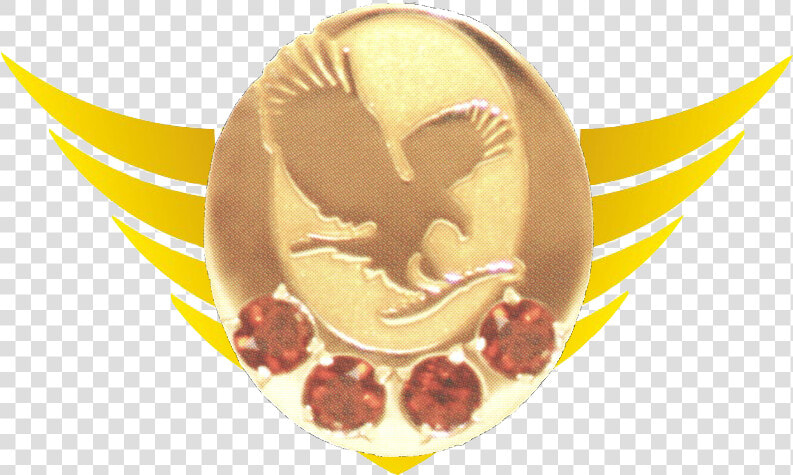 Soaring Eagle Png   Forever Living Soaring Manager  Transparent PngTransparent PNG