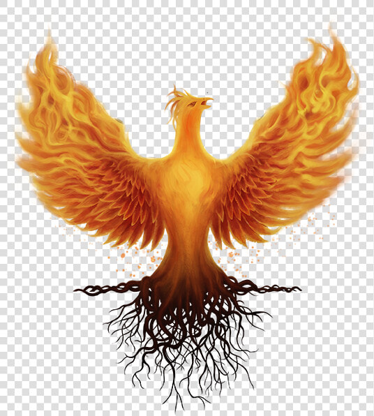 Logo Ashes Of Creation  HD Png DownloadTransparent PNG