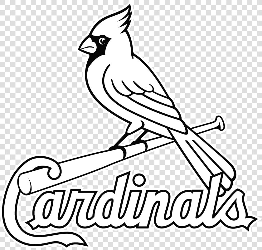 Louis Cardinals Logo Png Transparent Amp Svg Vector   St Louis Cardinals Logo Outline  Png DownloadTransparent PNG