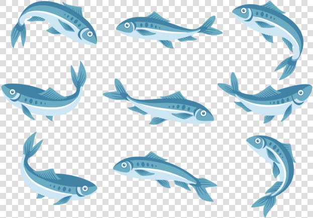 Sardine Icons Vector   Sardines Clipart Png  Transparent PngTransparent PNG