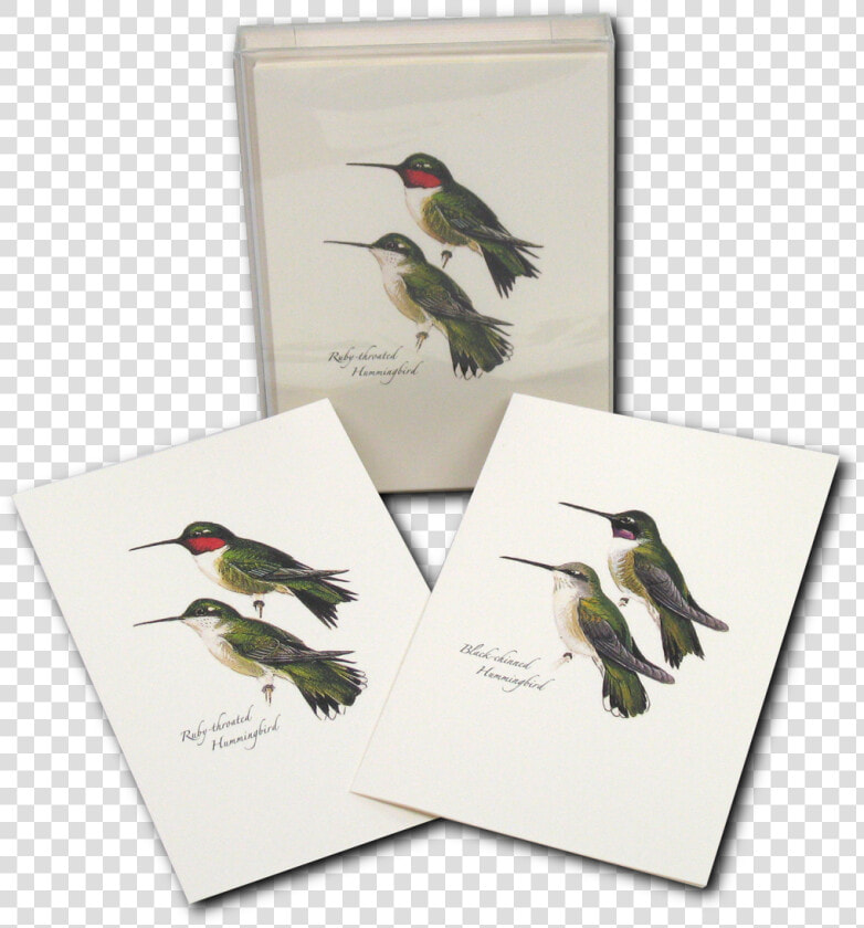 Ruby throated Hummingbird  HD Png DownloadTransparent PNG