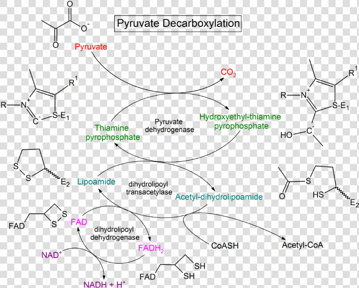 Pyruvate Decarboxylation Steps   Pyruvate Dehydrogenase Chemical Structure  HD Png DownloadTransparent PNG