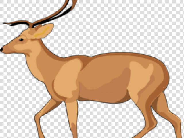 Gazelle Clipart Transparent   Debden Park High School  HD Png DownloadTransparent PNG