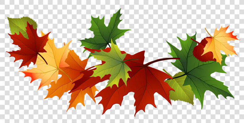 Transparent Leaves Clipart   Falling Fall Leaves Clip Art  HD Png DownloadTransparent PNG