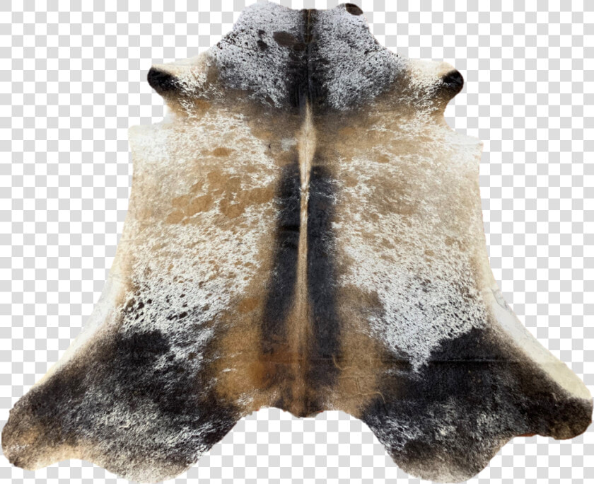 Snout  HD Png DownloadTransparent PNG