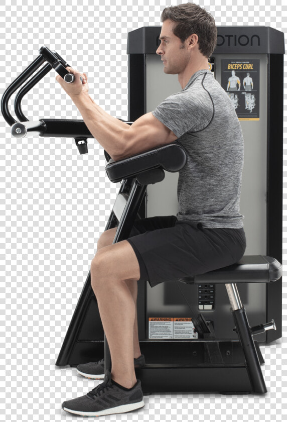 Biceps Curl  HD Png DownloadTransparent PNG