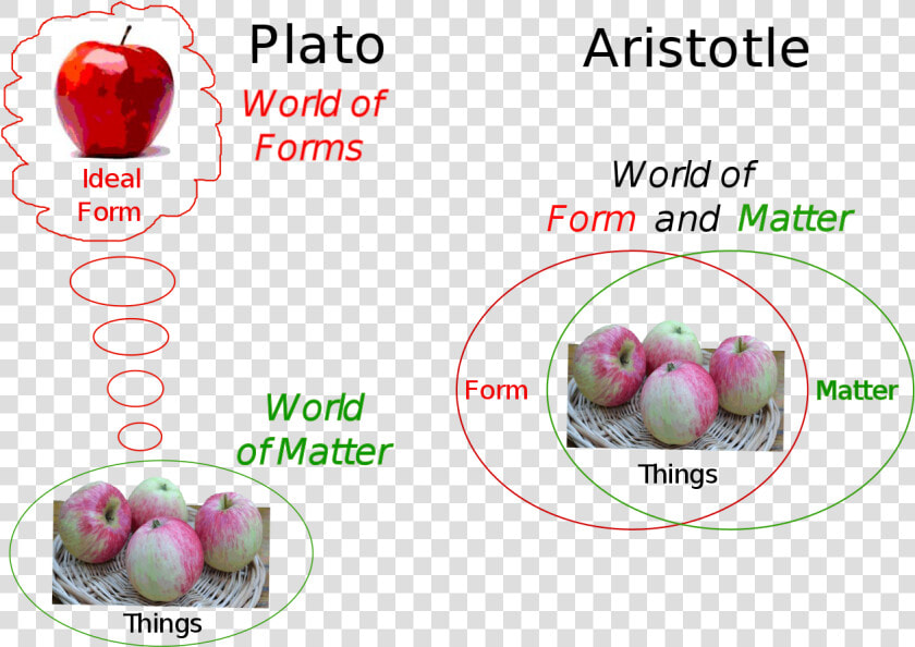 Aristotle Forms  HD Png DownloadTransparent PNG