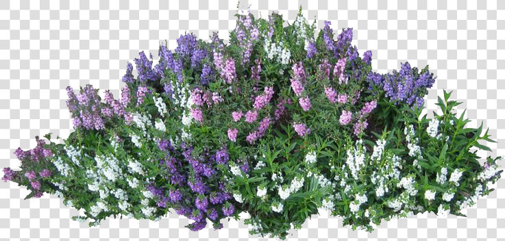 Bushes Transparent   Transparent Flower Bush Png  Png DownloadTransparent PNG