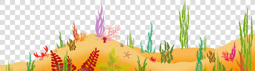 Cartoon Ocean Bottom   Ocean Bottom Image Png  Transparent PngTransparent PNG