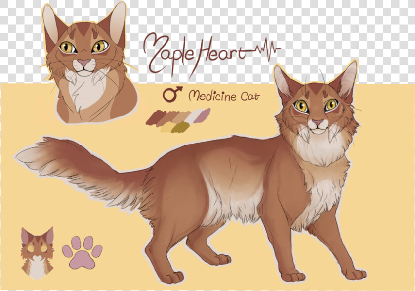 Warrior Cats Babies Png Jpg Transparent Stock   Squitten  Png DownloadTransparent PNG