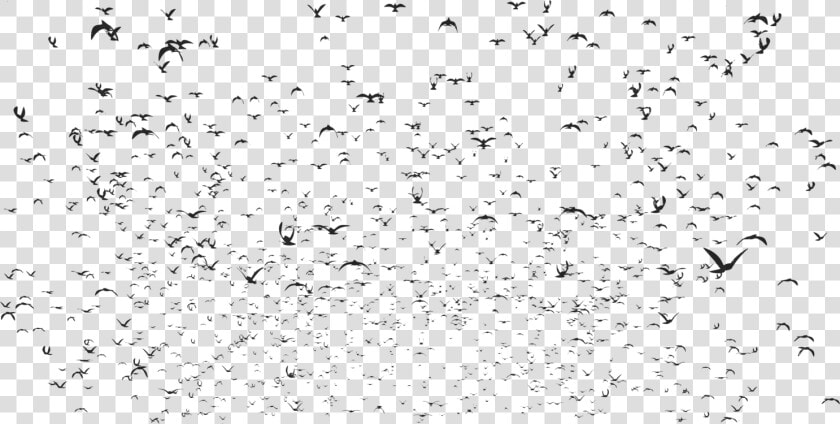 Flock bird Migration animal Migration   Bird  HD Png DownloadTransparent PNG