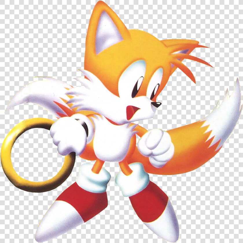 Image Tails Png Sonic News Network Fandom   Sonic The Hedgehog On Boomerang  Transparent PngTransparent PNG