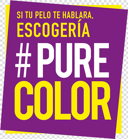 Logo Purecolor   Poster   Poster  HD Png DownloadTransparent PNG