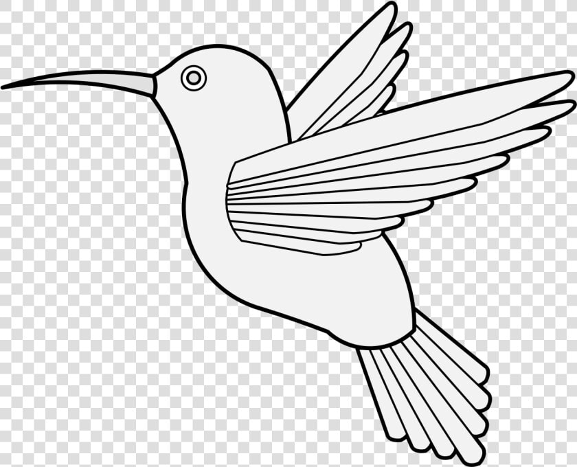 Humming Bird Png  Transparent PngTransparent PNG