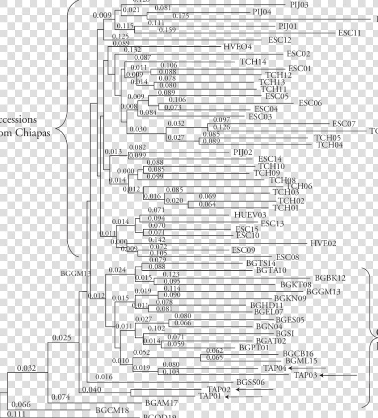 All Adds Up Worksheet Social Studies Key  HD Png DownloadTransparent PNG