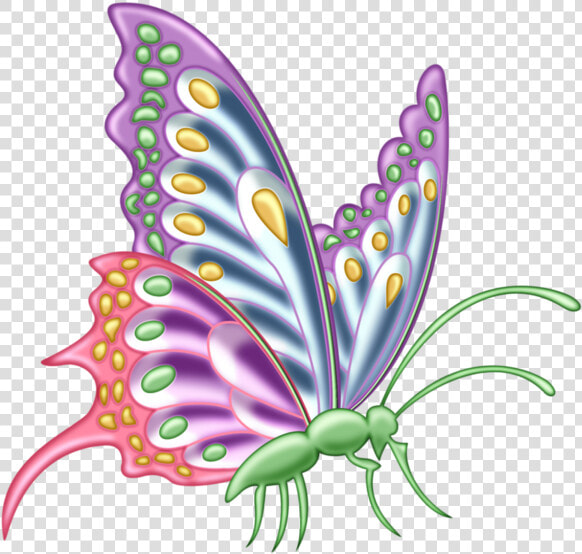 Butterfly Designs For Assignment  HD Png DownloadTransparent PNG