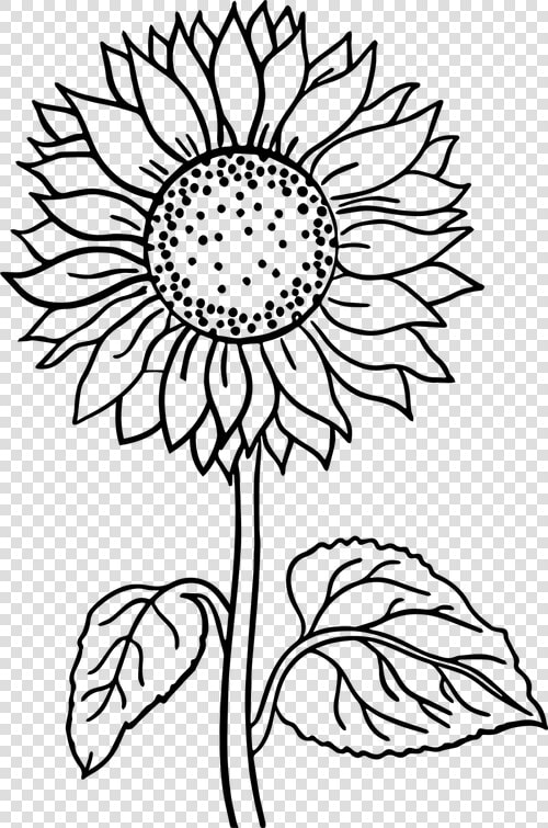 Flower  Black And White Flower  Line Art  Art Flower   Sunflower Flower Coloring Pages  HD Png DownloadTransparent PNG