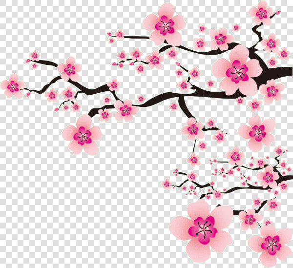  flowers  meihua  china  pink  nature  ftestickers   Japanese Cherry Blossom Png  Transparent PngTransparent PNG