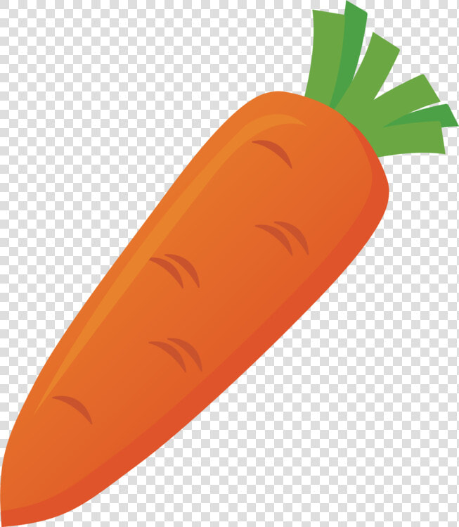 Plant food radish   人参 イラスト フリー  HD Png DownloadTransparent PNG