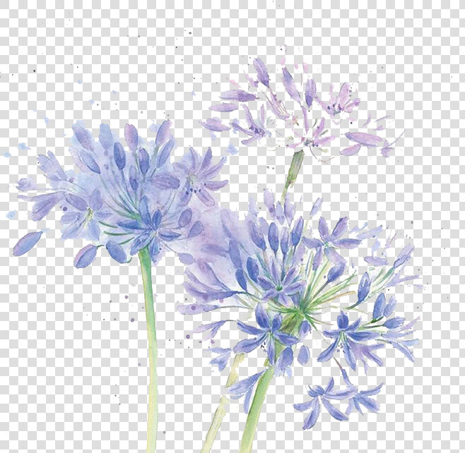 Blue Cut Watercolor Chrysanthemum Design Floral Flowers   Watercolor Transparent Flower Purple  HD Png DownloadTransparent PNG