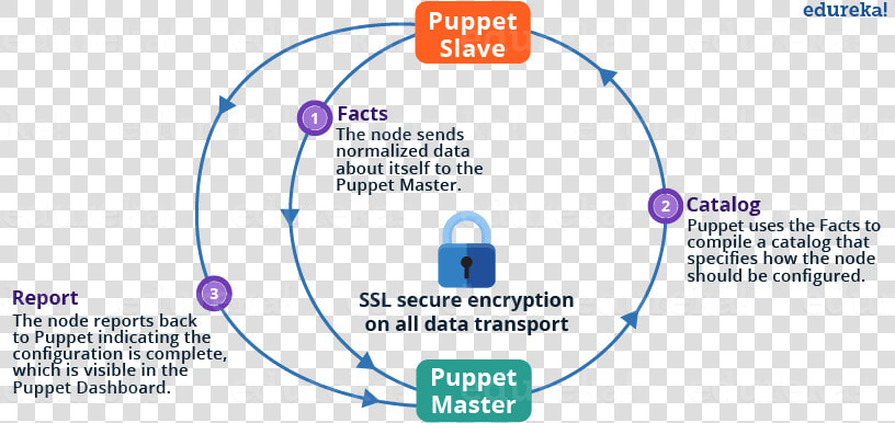 Puppet Master Slave Architecture  HD Png DownloadTransparent PNG