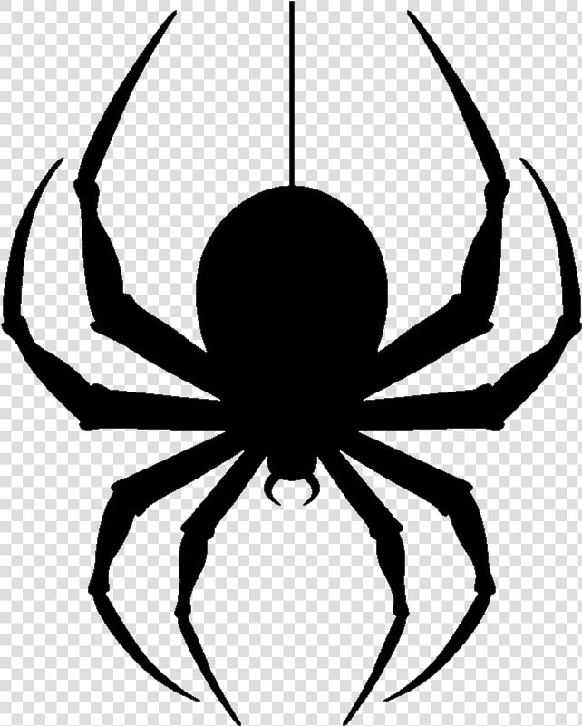 Spider Dangling Clipart Donovan Mitchell Wallpaper   God Creating Spiders Meme  HD Png DownloadTransparent PNG