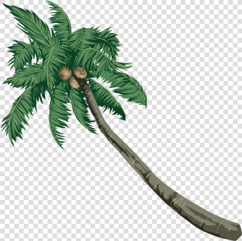 Coconut Clipart Coconut Palm Trees   Sea Beach Vector  HD Png DownloadTransparent PNG